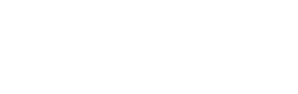 Presentation of We Build Shopify Stores That Grow Into Brands People Love