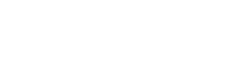 Presentation of We Build Shopify Stores That Grow Into Brands People Love