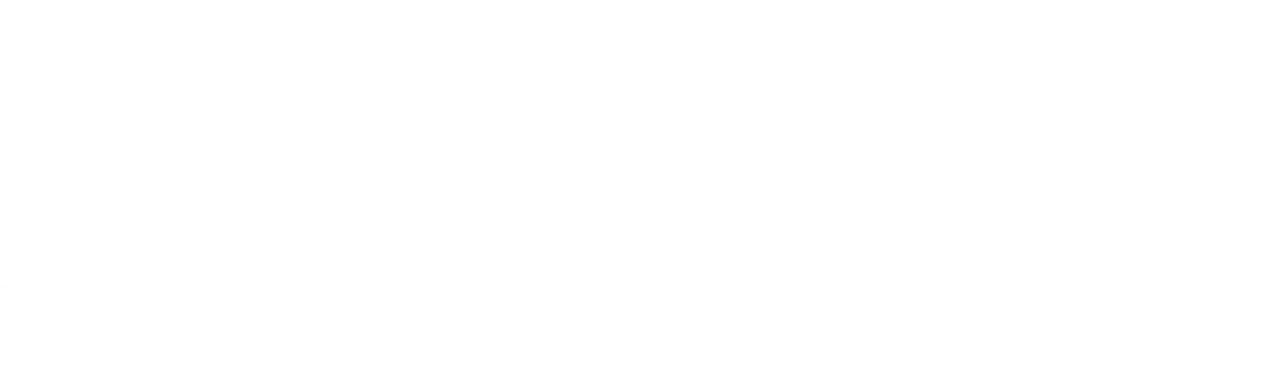 Presentation of We Build Shopify Stores That Grow Into Brands People Love